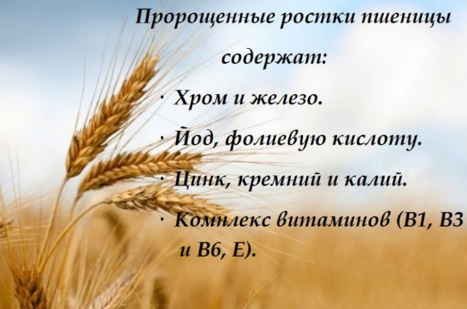 Калорійність Пшеничні зародки, сирі. Хімічний склад і харчова цінність.