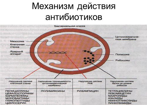 Що буде, якщо постійно пити антибіотики: наслідки. Як часто можна вживати антибіотики без шкоди для здоров'я?