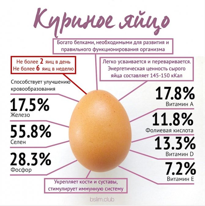 Смажені яйця: користь і шкода, прості рецепти приготування страви