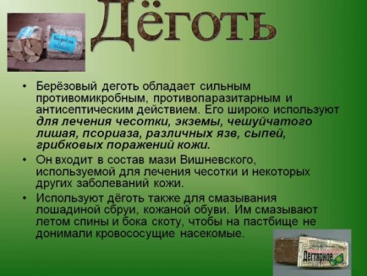 Березовий дьоготь: користь і шкода продукту, правильне застосування