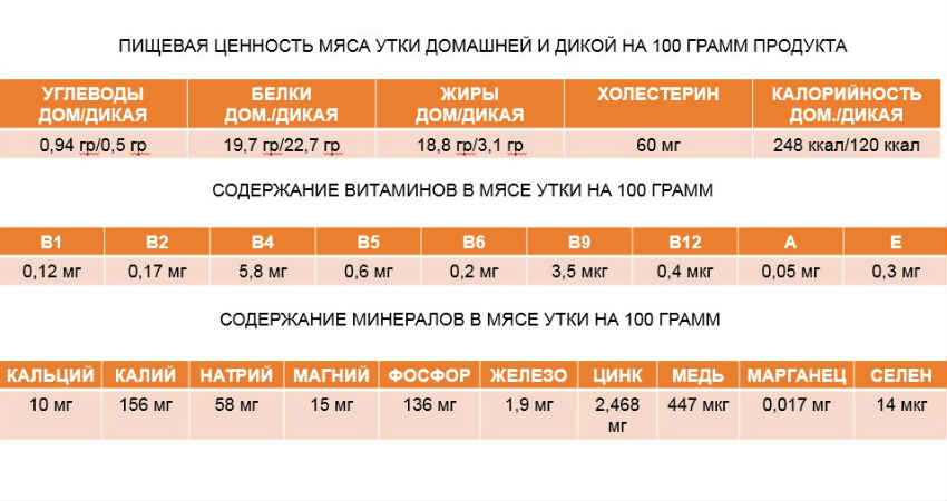 Продуктивність мулардов і індоуток. Порівняльна характеристика м'яса і яєць