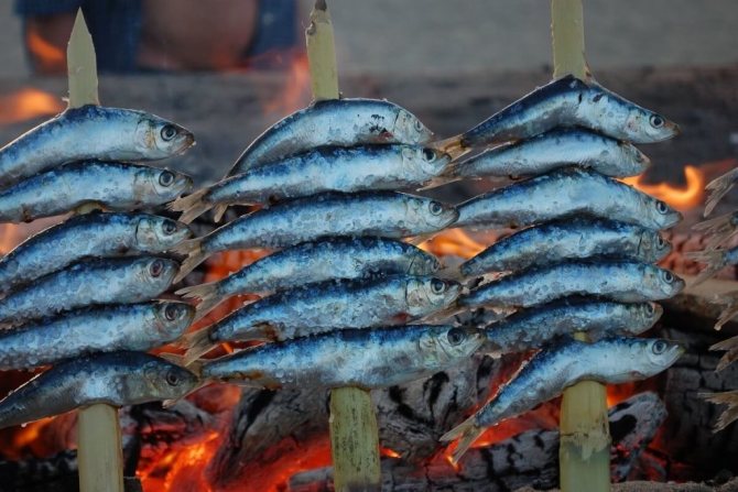 Консерви з сардини івасі можуть визнати лікувальним продуктом