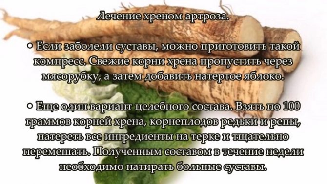 У чому користь хрону для організму жінок, чи є від нього шкода? Правила приготування і вживання овоча