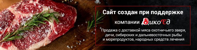 Ведмежий жир - лікувальні властивості і протипоказання, як приймати