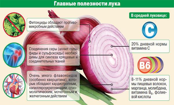 Користь і шкода цибулі для організму людини, протипоказання