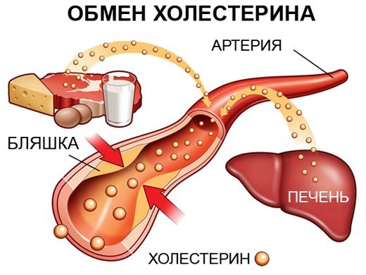 Обережно: статини! Знижують холестерин ліки провокують діабет?