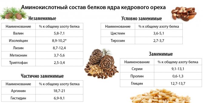 Рецепт Горіхи з медом. Калорійність, хімічний склад і харчова цінність.