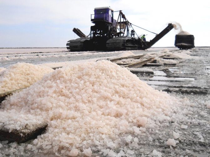 Морська сіль харчова: користь і шкода. Застосування морської солі для схуднення