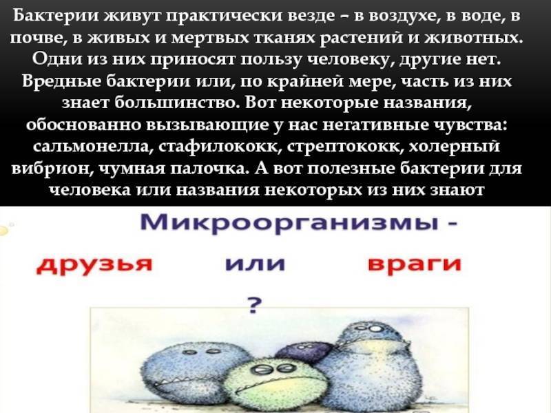 Яку користь можуть принести бактерії людині і якої шкоди завдати здоров'ю?