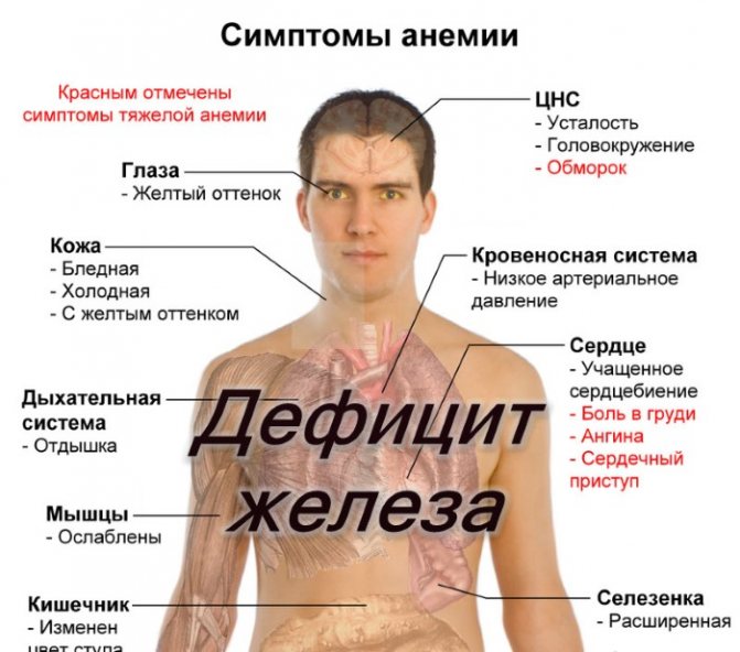 Що таке амарантового борошно і в чому її користь для схуднення?