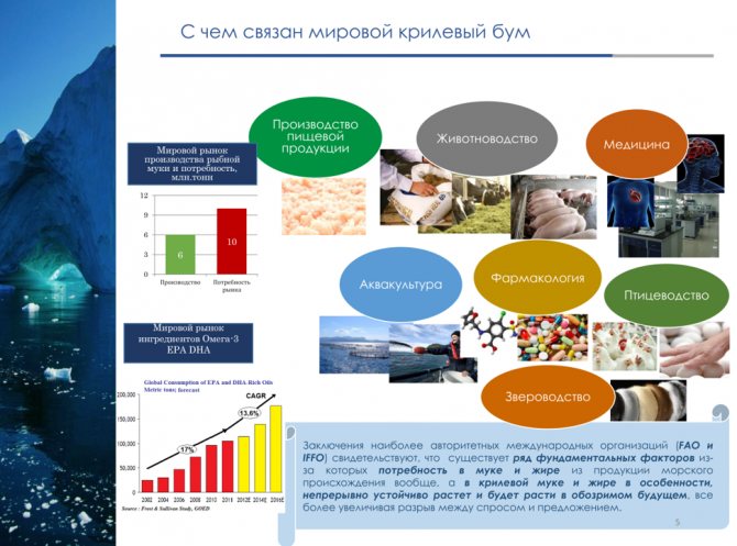 Користь і шкода масла криля: думка лікарів