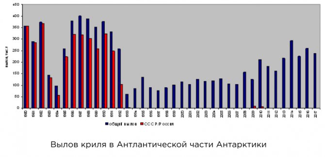 Користь і шкода масла криля: думка лікарів