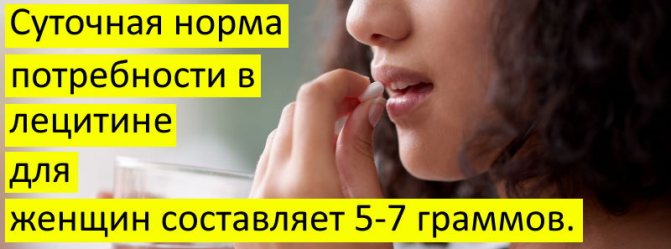 Що таке лецитин і для чого він потрібен організму жінки