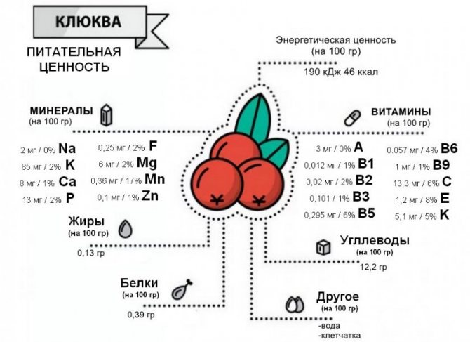 Журавлина: корисні властивості та протипоказання для чоловіків