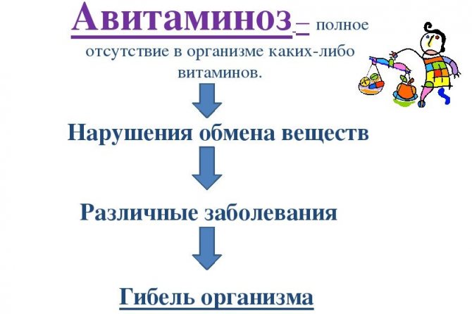 Журавлина: корисні властивості та протипоказання для чоловіків